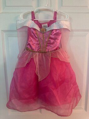 Disney Princess Aurora/Sleeping Beauty Costume